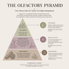 Olfactory pyramid diagram illustrating top, middle, and base notes in home fragrance candles and diffusers