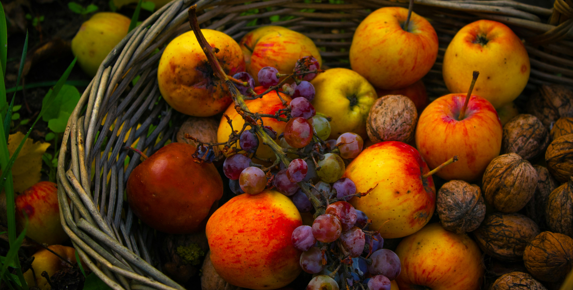 Wicker basket filled with apples, grapes, and walnuts evoking the Upsensed fruity home fragrance collection
