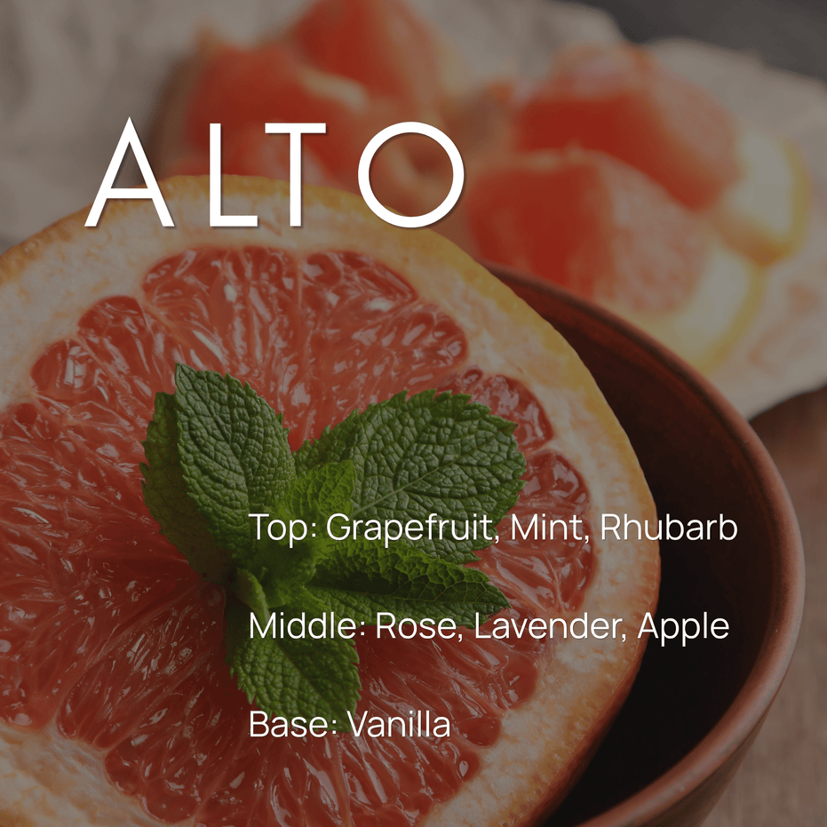 Alto fragrance notes graphic featuring grapefruit and mint with top notes of grapefruit, mint, and rhubarb, middle notes of rose, lavender, and apple, and a vanilla base.