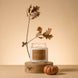 Pumpkin + Oak 16 oz Apothecary Candle