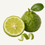 Bergamot fragrance note icon — whole and halved bergamot citrus fruit with peel curl and leaf