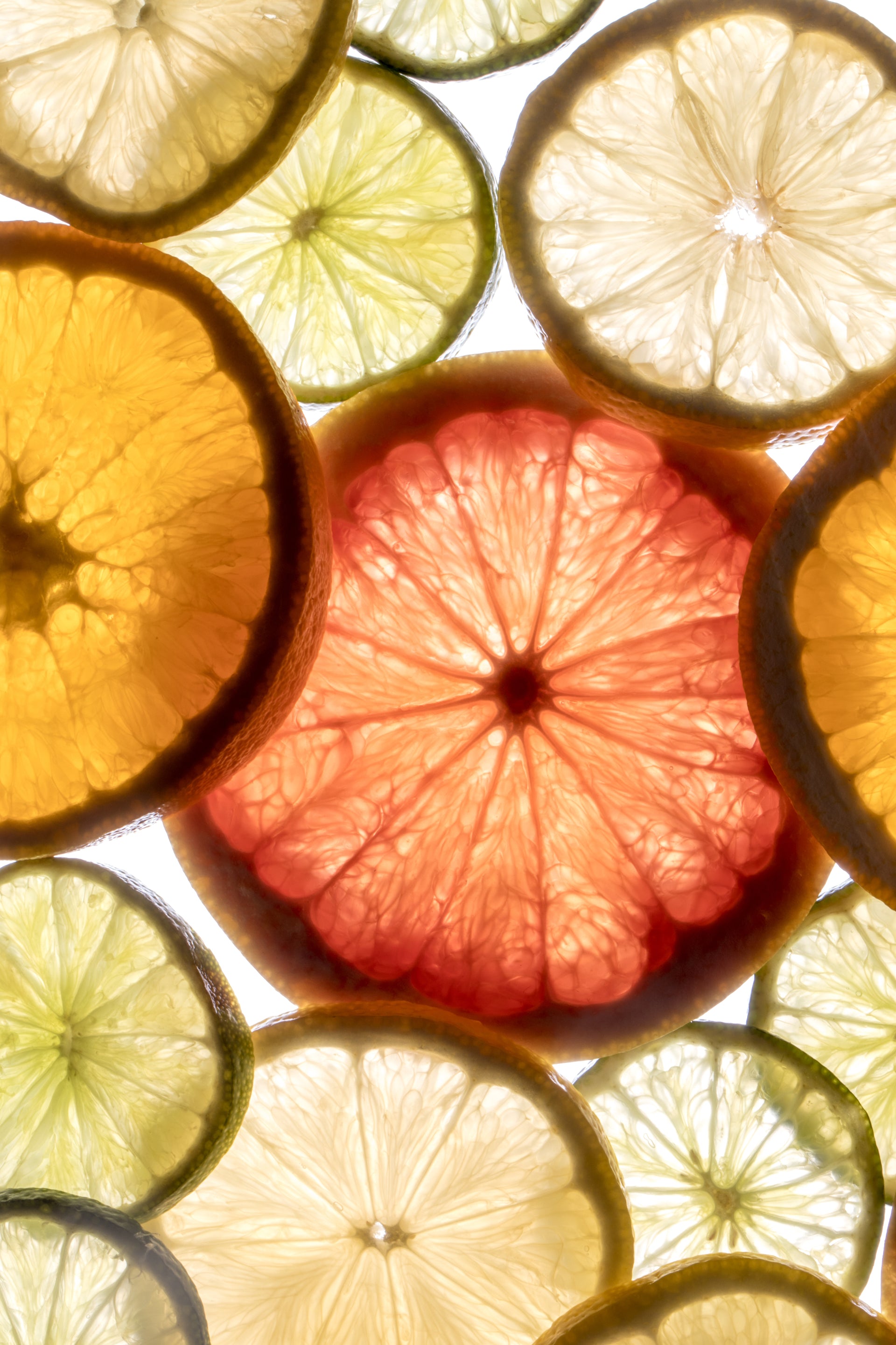 Bright backlit citrus slices including grapefruit, lemon, lime, and orange for fresh fragrance inspiration.
