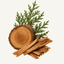 Cedarwood log and green cedar branches fragrance note icon - Upsensed home fragrance collection