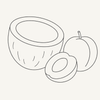Thin line icon of a halved coconut beside an apricot and an apricot slice.