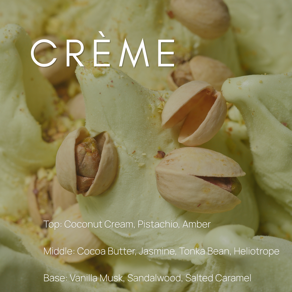 Upsensed Crème fragrance notes graphic - top notes coconut cream pistachio and amber, middle notes cocoa butter jasmine tonka bean and heliotrope, base notes vanilla musk sandalwood and salted caramel - home fragrance collection