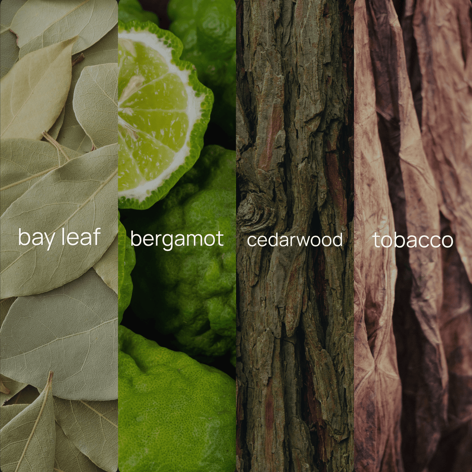 Four vertical panels labeled bay leaf, bergamot, cedarwood, and tobacco, showing close-up textures and colors of natural ingredients.