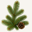 Fir fragrance note icon — green fir branch with pinecone