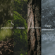Four-panel fragrance note graphic for Higher Ground, showing rain falling on a seedling, moss, tree bark, and water droplets, each labeled with its scent note (petrichor, moss, cedarwood, fresh rainwater).