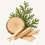 Hinoki woods fragrance note icon — hinoki cypress branch with cross-section wood slice and shaved wood pieces