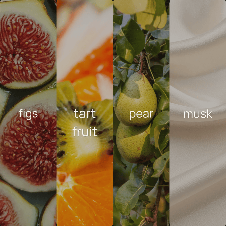 Four-panel fragrance note graphic for Intention, showing sliced figs, tart citrus fruit, pears on a branch, and draped ivory fabric, each labeled with its scent note.