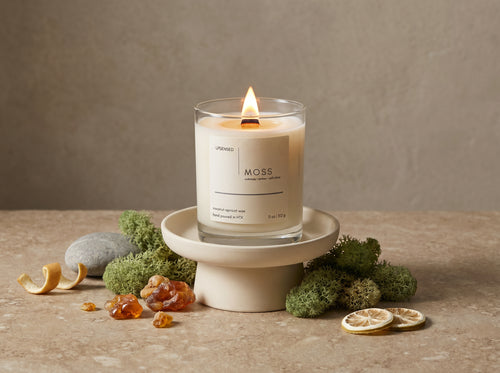 Upsensed Moss candle styled with oakmoss, amber resin, citrus slices, and stone accents for a behind-the-scent feature.