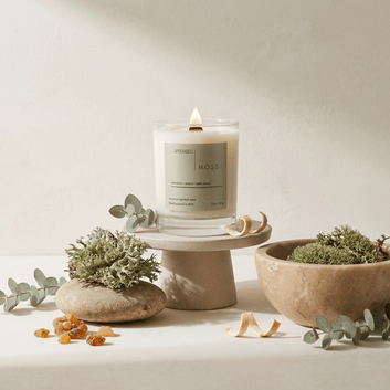 Lit Moss candle styled with oakmoss, eucalyptus stems, amber resin, citrus peel, and warm neutral stone decor.