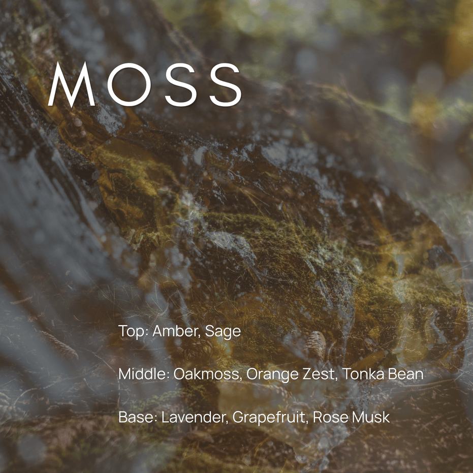 Moss candle scent notes with amber, sage, oakmoss, orange zest, tonka bean, lavender, grapefruit, and rose musk.