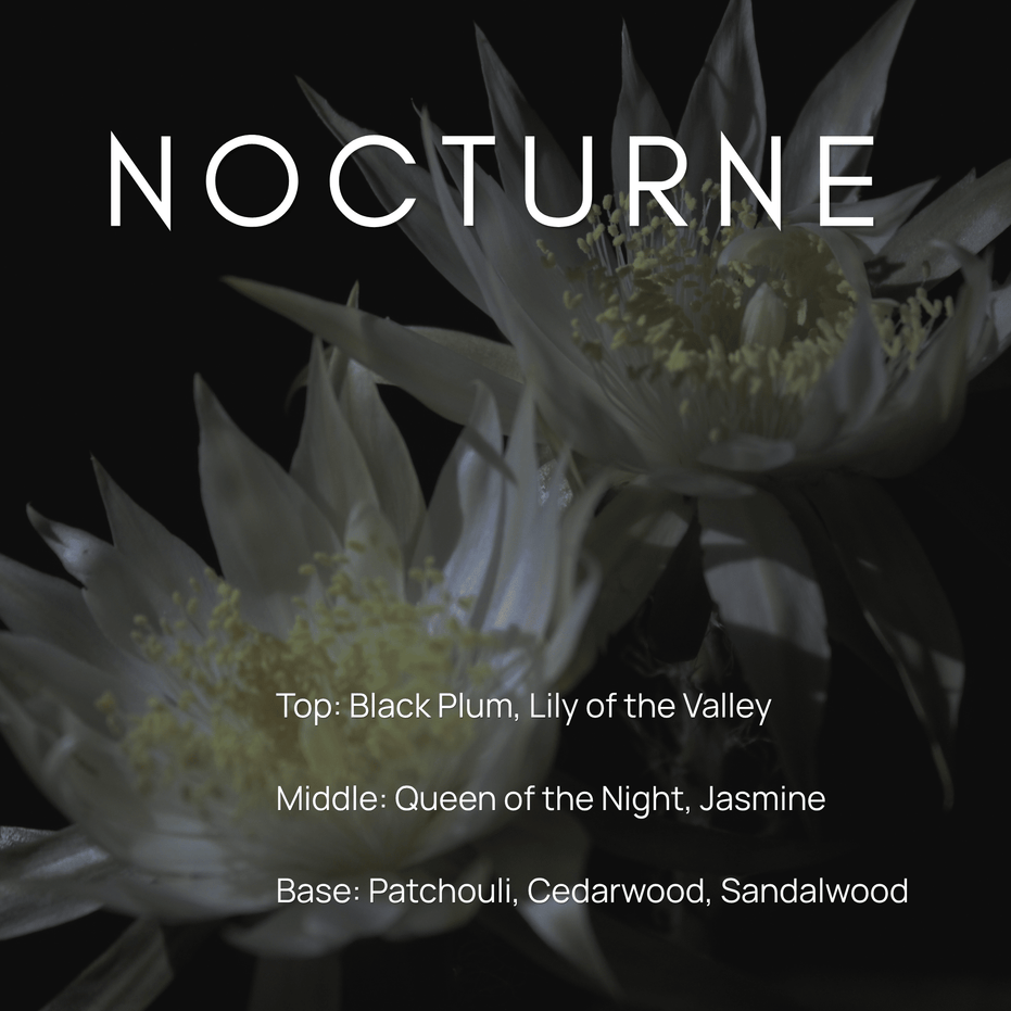 Nocturne candle scent notes with black plum, lily of the valley, queen of the night, jasmine, patchouli, cedarwood, and sandalwood.