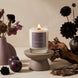 Lit Nocturne candle styled with dark florals, black plums, driftwood, bark, and warm neutral decor.