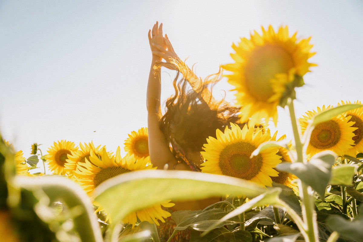 A person with long hair raises their arms while standing in a sunflower field lit by golden sunlight