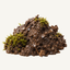 Wet earth and moss petrichor fragrance note icon - Upsensed home fragrance collection