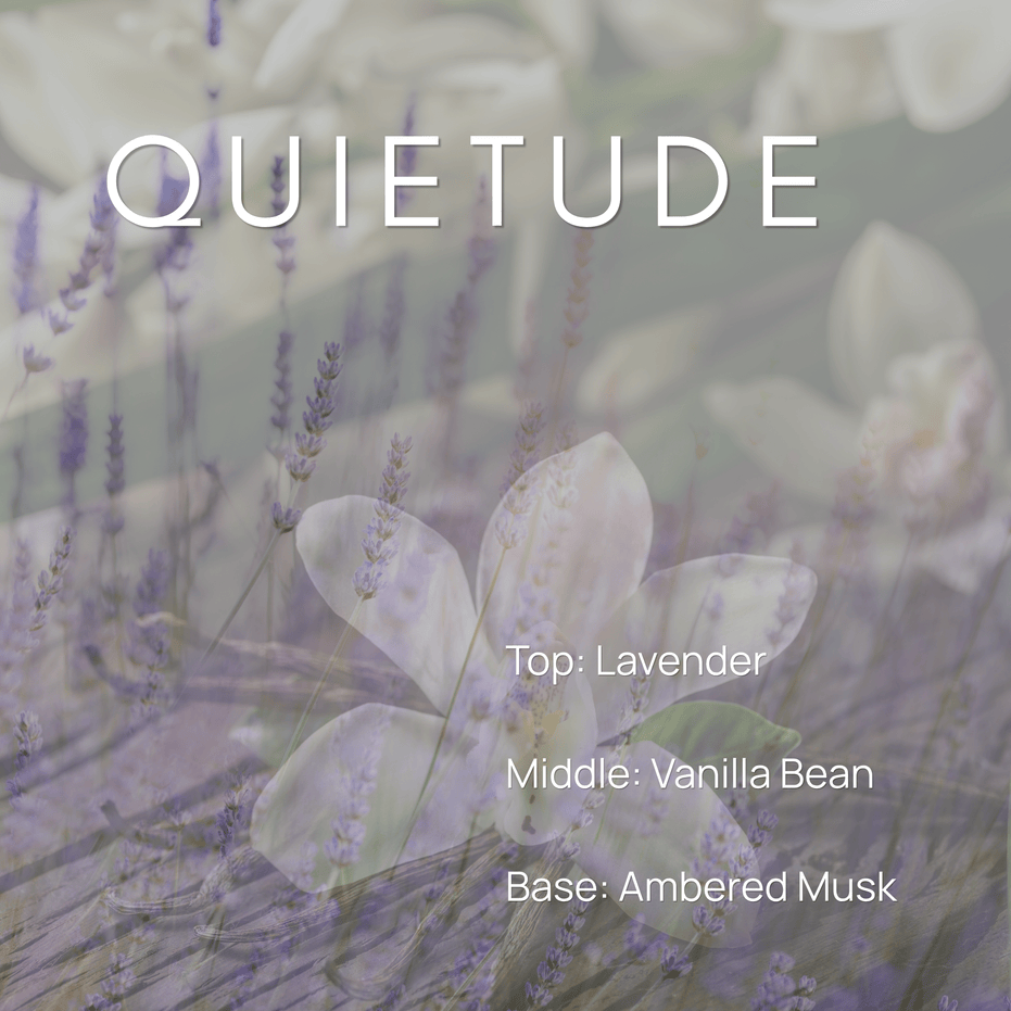 Quietude candle scent notes with lavender, vanilla bean, and ambered musk over a soft floral lavender background.