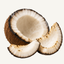 Smoked coconut fragrance note icon — charred and cracked open coconut with smoke rising from the shell