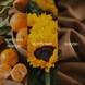 Three-panel fragrance note graphic for Sunflowers + Citrus, showing mandarin oranges, a sunflower, and suede fabric, each labeled with its scent note.