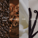 Upsensed Café Doré fragrance note collage featuring coffee bean, cinnamon, milk, and vanilla
