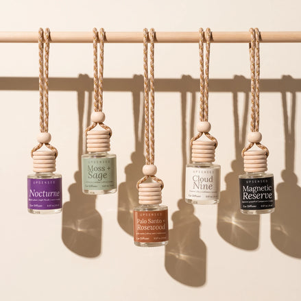 Hanging Car Diffuser