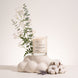 Cloudwash — Cotton Blossom + Jasmine Coconut Soy Candle