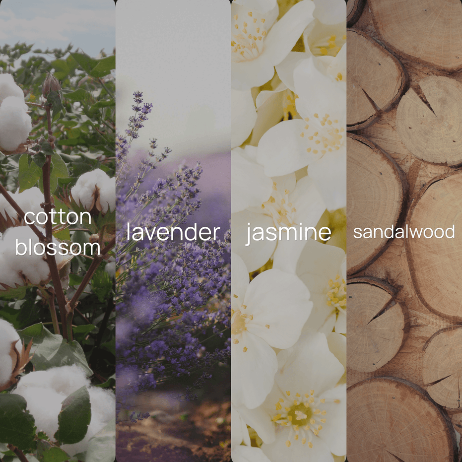 Upsensed Cloudwash fragrance note collage featuring cotton blossom, lavender, jasmine, and sandalwood