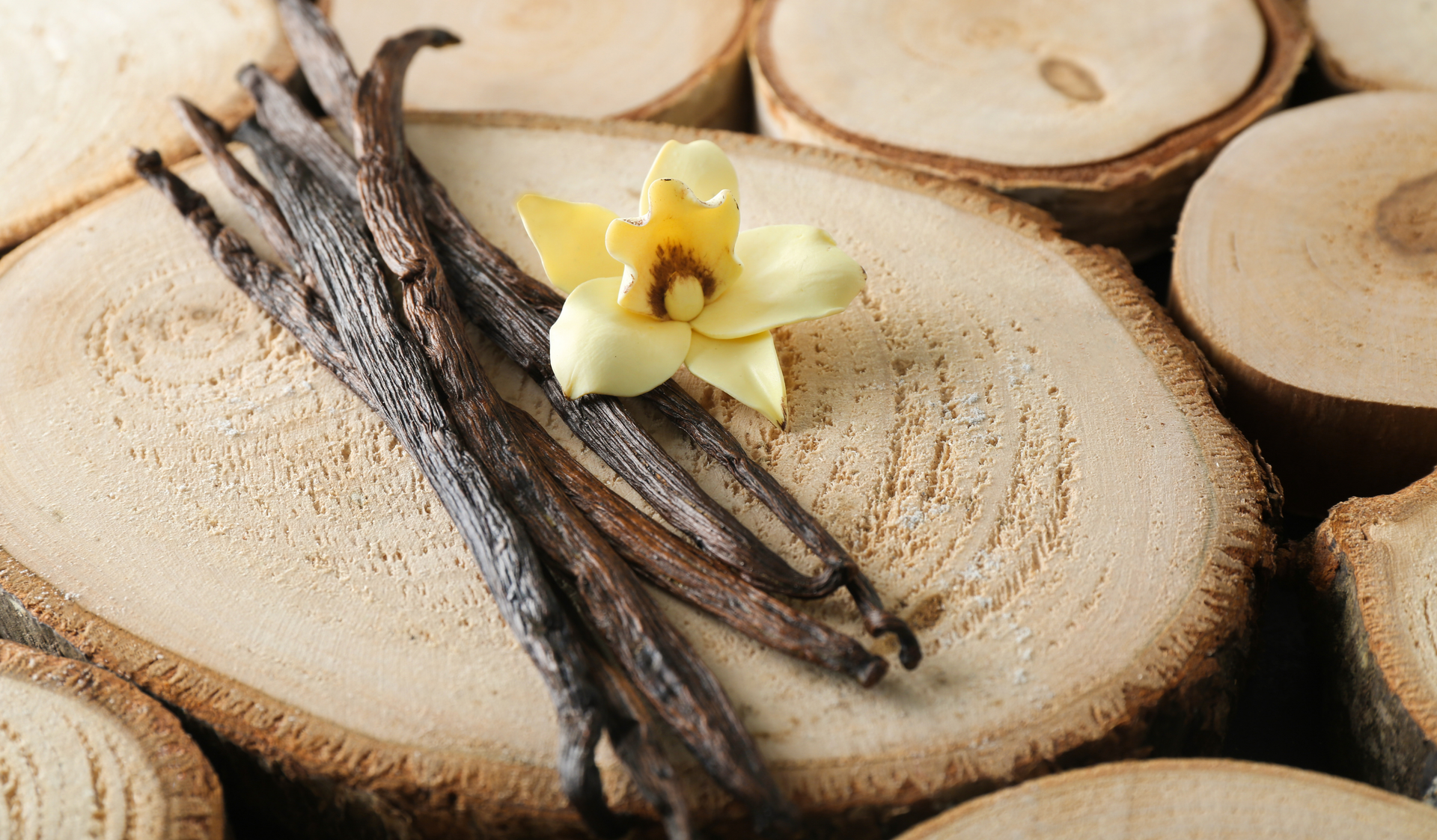 Vanilla beans and a small pale yellow flower arranged on round wood slices.