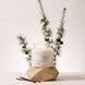 Upsensed Forêt de Vanille candle burning on a faceted wood pedestal, styled with pine branches, pinecones, and vanilla bean pods.