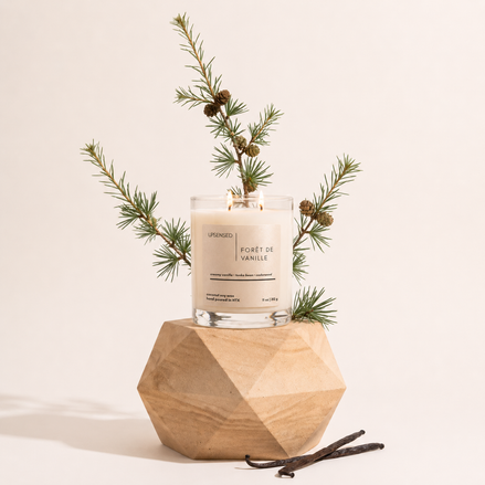 Forêt de Vanille — Vanilla + Cedarwood Coconut Soy Candle