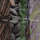 Upsensed Forêt de Vanille fragrance note collage featuring vanilla, tonka bean, cedarwood, and lavender