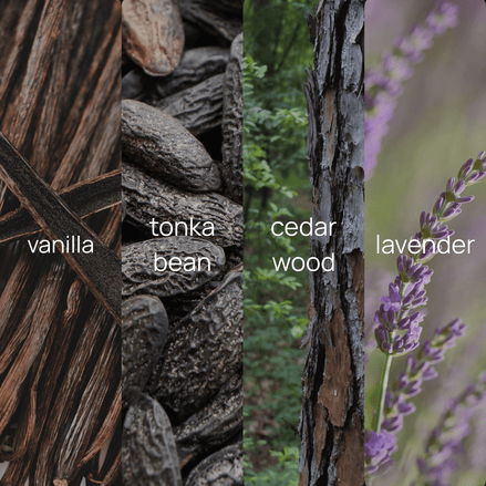 Upsensed Forêt de Vanille fragrance note collage featuring vanilla, tonka bean, cedarwood, and lavender