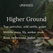 Higher Ground soy candle fragrance notes: petrichor, wild nettle, and green on top, moss, lily, and amber musk in the middle, and cedarwood, melon, and rainwater at the base, shown with rain-soaked moss, fern, cedar bark, lily petals, and amber on wet stone.