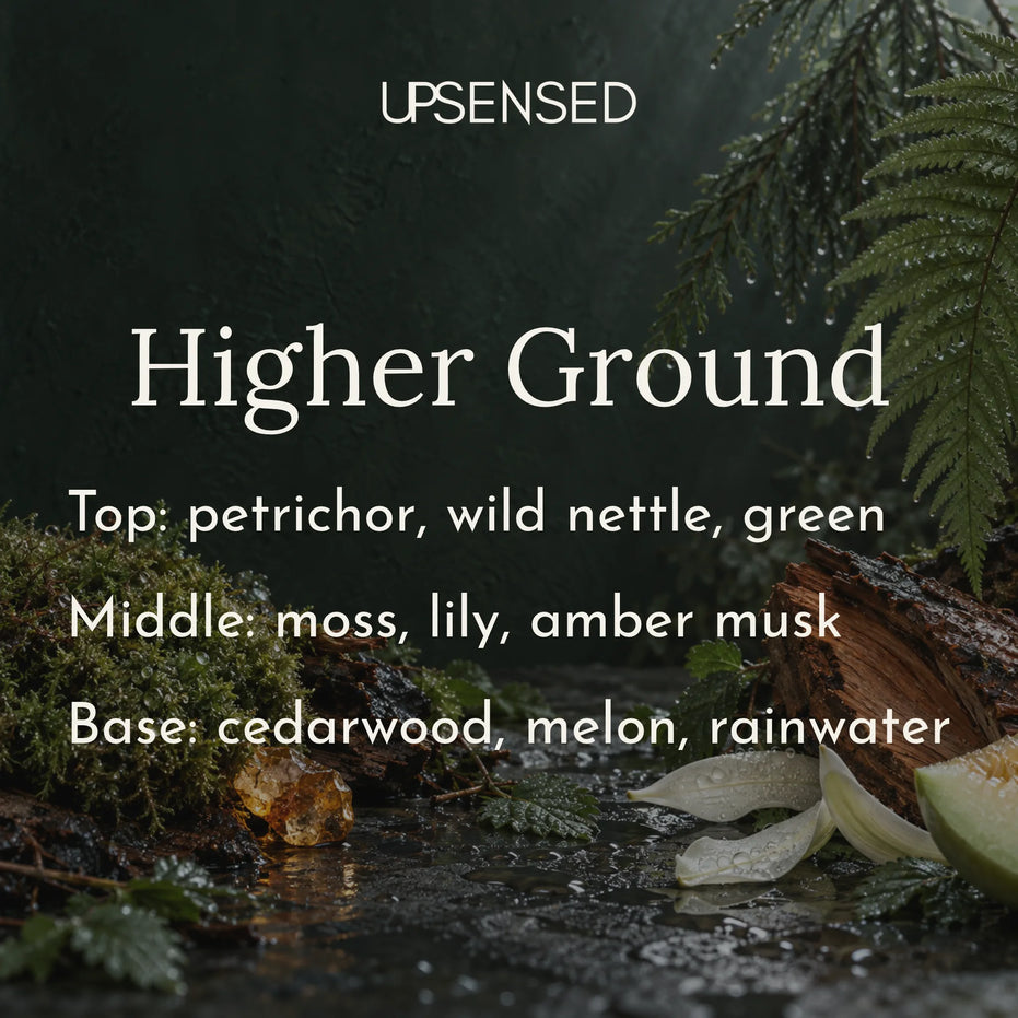Higher Ground soy candle fragrance notes: petrichor, wild nettle, and green on top, moss, lily, and amber musk in the middle, and cedarwood, melon, and rainwater at the base, shown with rain-soaked moss, fern, cedar bark, lily petals, and amber on wet stone.