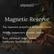 Magnetic Reserve soy candle fragrance notes: Japanese grapefruit, bergamot, and lemon on top, peppercorn, jasmine, and marine in the middle, and patchouli, cedar, vetiver, labdanum, and frankincense at the base, shown with halved citrus, black peppercorns, and cedar wood on dark slate.