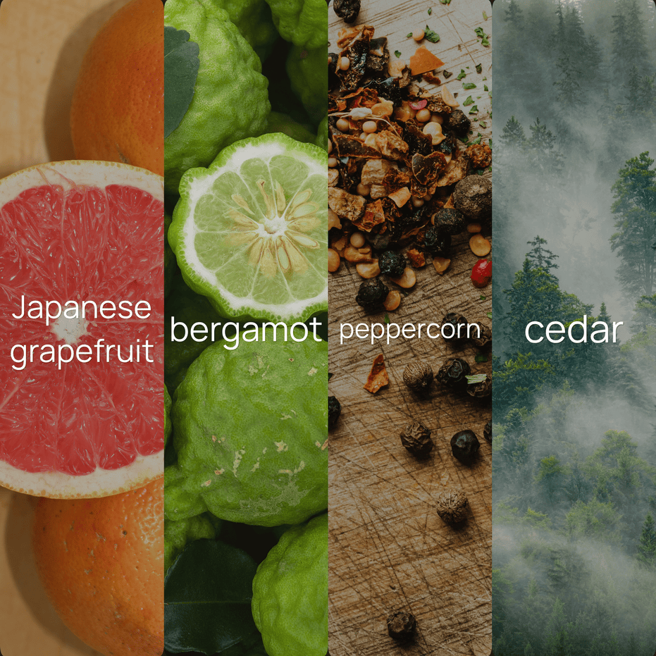 Upsensed Magnetic Reserve fragrance note collage featuring Japanese grapefruit, bergamot, peppercorn, and cedar