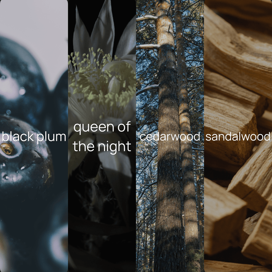 Upsensed Nocturne fragrance note collage featuring black plum, queen of the night, cedarwood, and sandalwood