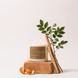 Upsensed Palo Santo + Rosewood candle burning on a terracotta brick, styled with a leafy branch, palo santo sticks, and a curled orange peel against a neutral background.