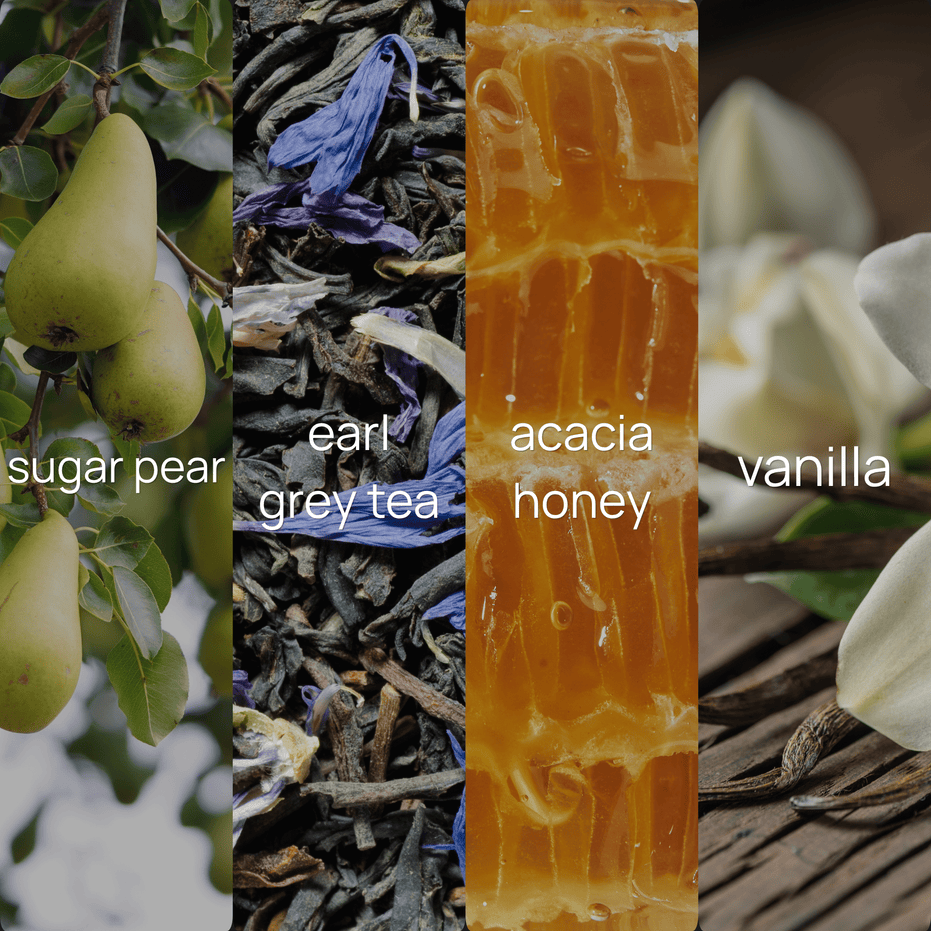 Upsensed Pearfect fragrance note collage featuring sugar pear, earl grey tea, acacia honey, and vanilla