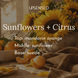 Sunflowers + Citrus Soy Candle