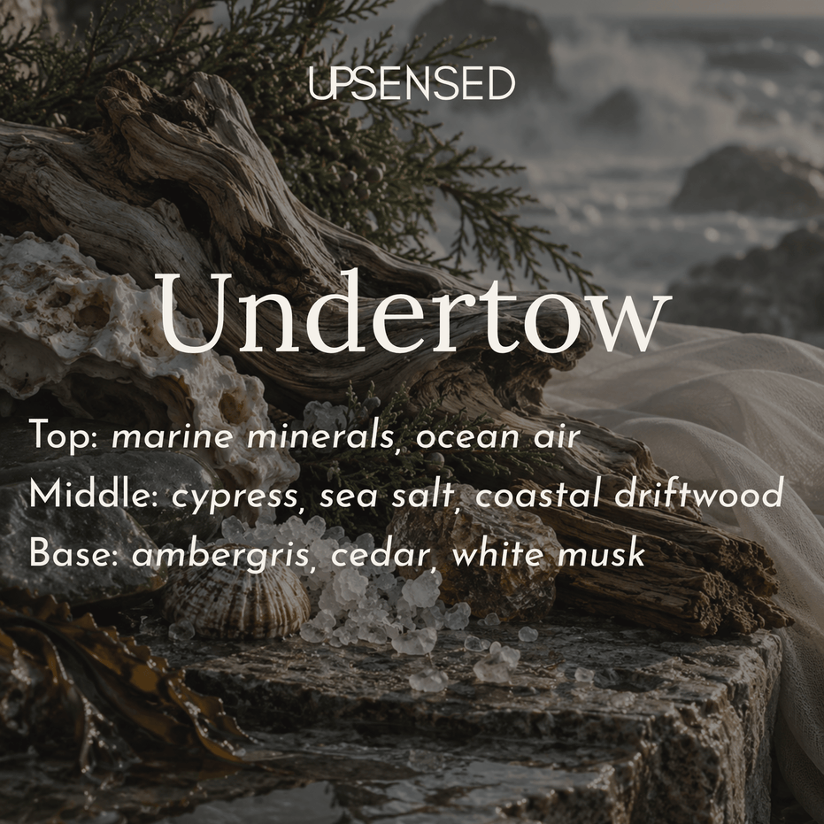 Upsensed Undertow fragrance notes: top notes of marine minerals and ocean air, middle notes of cypress, sea salt and coastal driftwood, base notes of ambergris, cedar and white musk