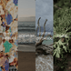 Upsensed Undertow fragrance note collage featuring marine minerals, ocean air, coastal driftwood, and cedar
