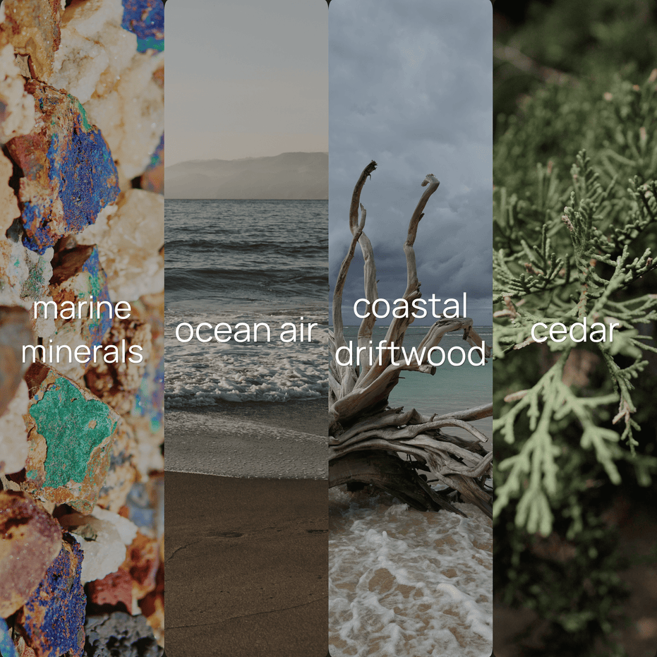 Upsensed Undertow fragrance note collage featuring marine minerals, ocean air, coastal driftwood, and cedar