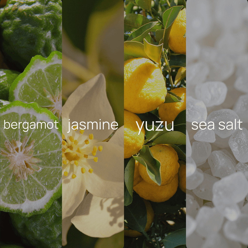 Upsensed Yuzu + Sea Salt fragrance note collage featuring bergamot, jasmine, yuzu, and sea salt