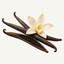 Vanilla beans with a cream vanilla flower on top.