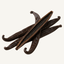 Vanilla noir fragrance note icon — split open dark vanilla beans showing seeds