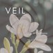 Upsensed Veil fragrance notes graphic - top note white freesia, middle note violet, base note cashmere - home fragrance collection