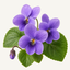 Violet flowers fragrance note icon - Upsensed home fragrance collection